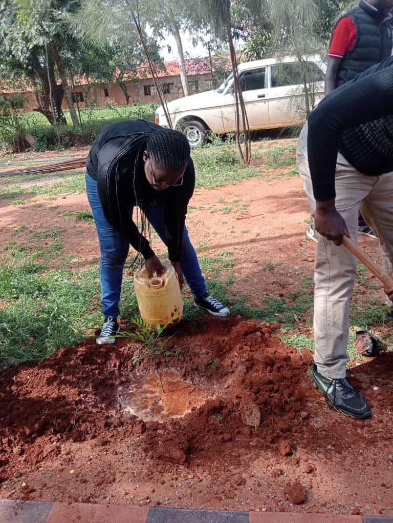 kenaff_farmers's tweet photo. "If I plant a tree, I improve my environment; if we all plant a tree, we can combat climate change and improve our world." Ms. Angela, Makueni County KENAFF Youth Member.
#KENAFFYDP
#Youth
#ClimateActionNow https://t.co/G1HgK3d1H4