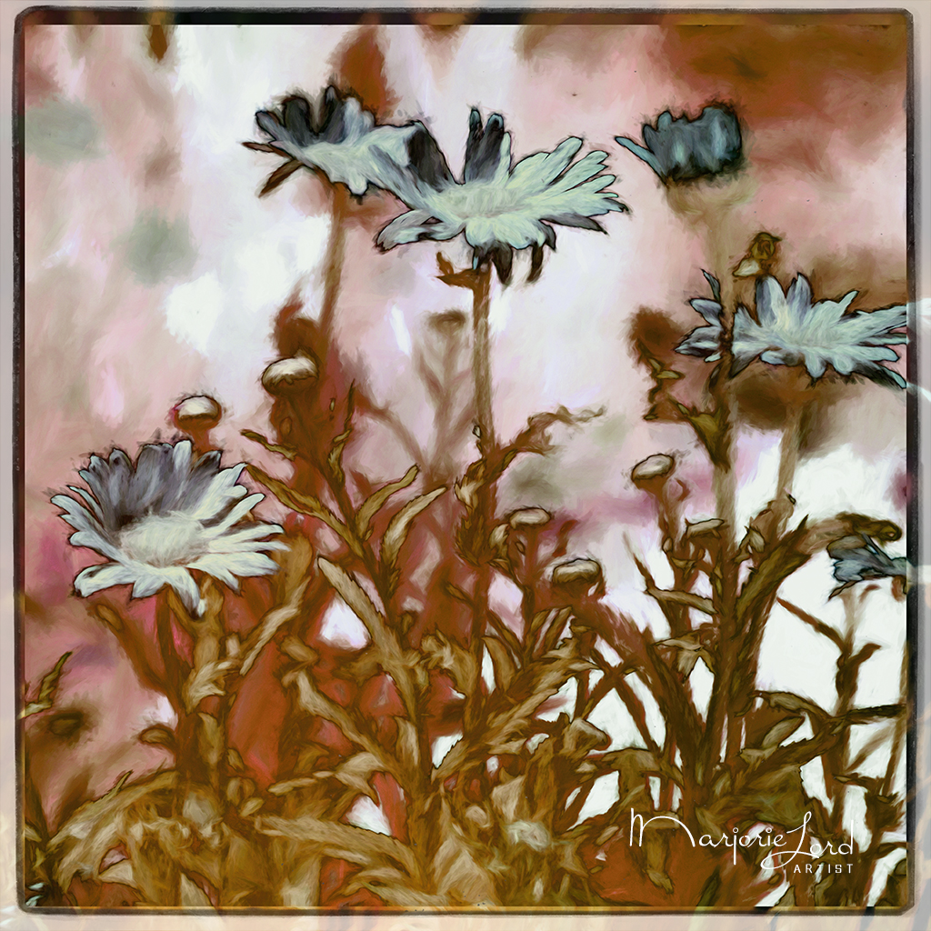 MLord_Artist's tweet photo. The imagery captures the essence of the daisies' symbolism, highlighting their significance as a symbol of hope and new beginnings in a striking and inspiring way, revealing the grandeur that lies within nature.
Infrared 665nm - Fujixt2. https://t.co/K4pwo6zIUN
