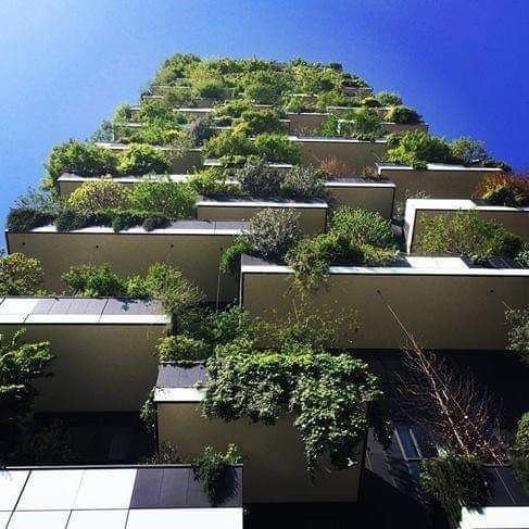 mauroboccaccio's tweet image. MILANO
#DesignGreen