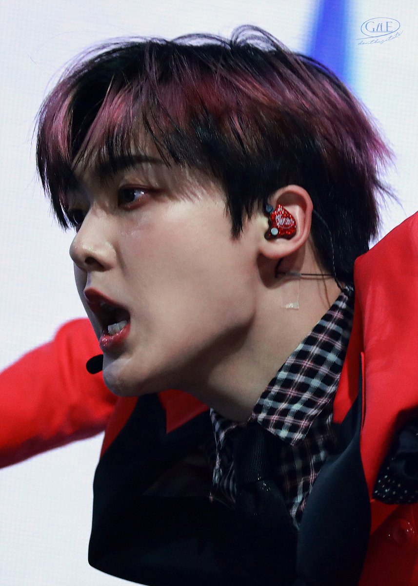 ๐๐๐ญ๐ tweet media