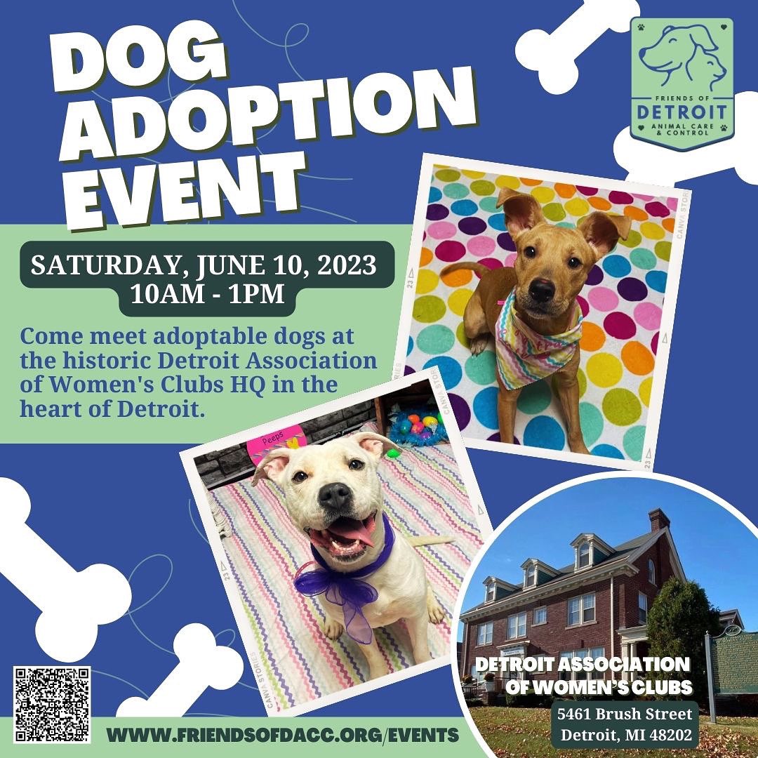 FriendsofDAWC's tweet photo. @friendsofdacc is partnering w/ us to host a dog adoption event! All you do is show up, meet the dogs, answer some questions, and if there’s a good fit for you &amp; one of the dogs, apply to take them home that day! This event is FREE. Come meet your fur baby! 🐶 https://t.co/4o3FbwIXrD