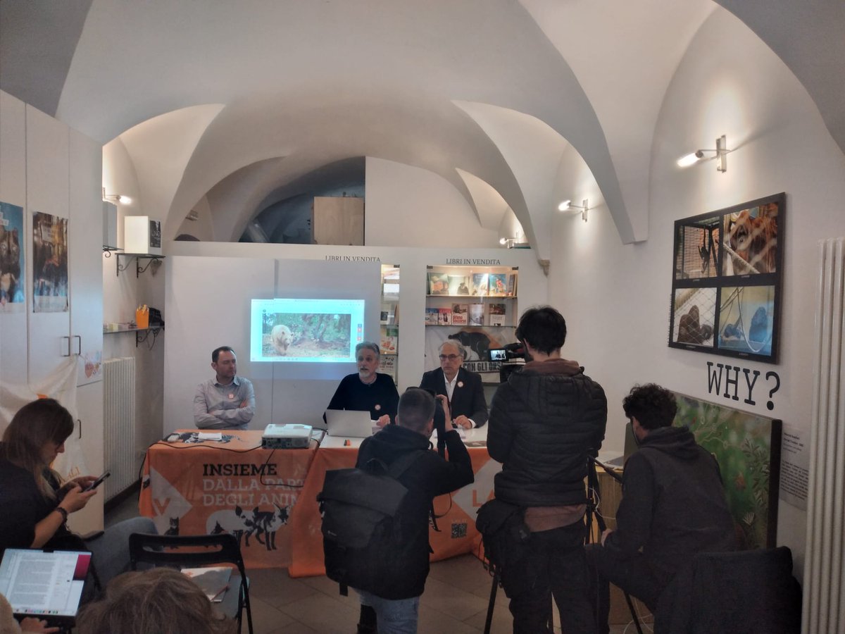 LAV_Italia's tweet photo. "Nel 2021 LAV era riuscita a incontrare assessora provinciale Zanotelli e dirigenti provinciali De Col e Giovannini, offrendo loro proposte per convivenza pacifica con orsi.
Unico risultato ottenuto: alzate di spalle".
@massimovitturi di LAV in conferenza stampa a Trento👇 https://t.co/iVH4rmBI6L