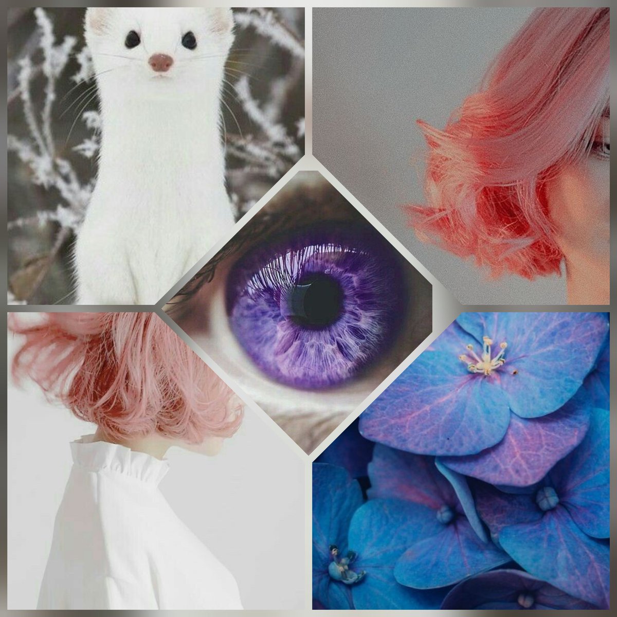 dream_feather05's tweet photo. Es el aesthetic de R🐦, protagonista de #proyectoangel y es la coshita más adorable de todas. ¿Queréis preguntarle algo? https://t.co/mzXbKWR5Pp
