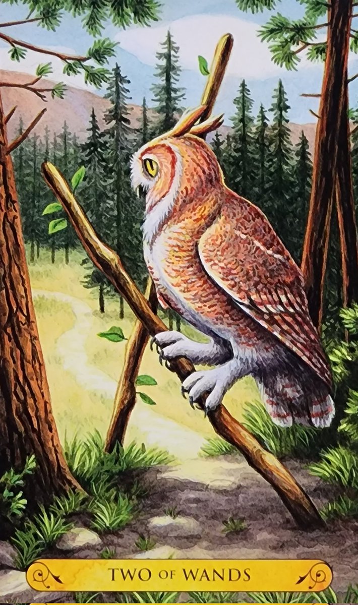 cardsandrocks's tweet photo. Earth signs: Taurus ♉️ Virgo ♍️ Capricorn ♑️ 
Card of the day: 2 of Wands 🥢 Making the right choice will be easier if you explore the options first. Tune in to the energies of each opportunity and feel it out. What are you more passionate about?
#tarot #tarotoftheowls 🦉 https://t.co/79Rb3sCr3U