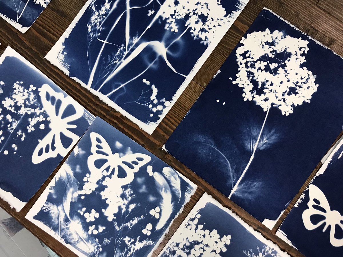 SusanGalbraith4's tweet photo. Exploring printmaking 2 ways with the gr11 students @SMA_School. Such excitement for both cyanotypes and block prints! @ASD_West #CreateConnectCommunicate https://t.co/8Ly31kQi9m