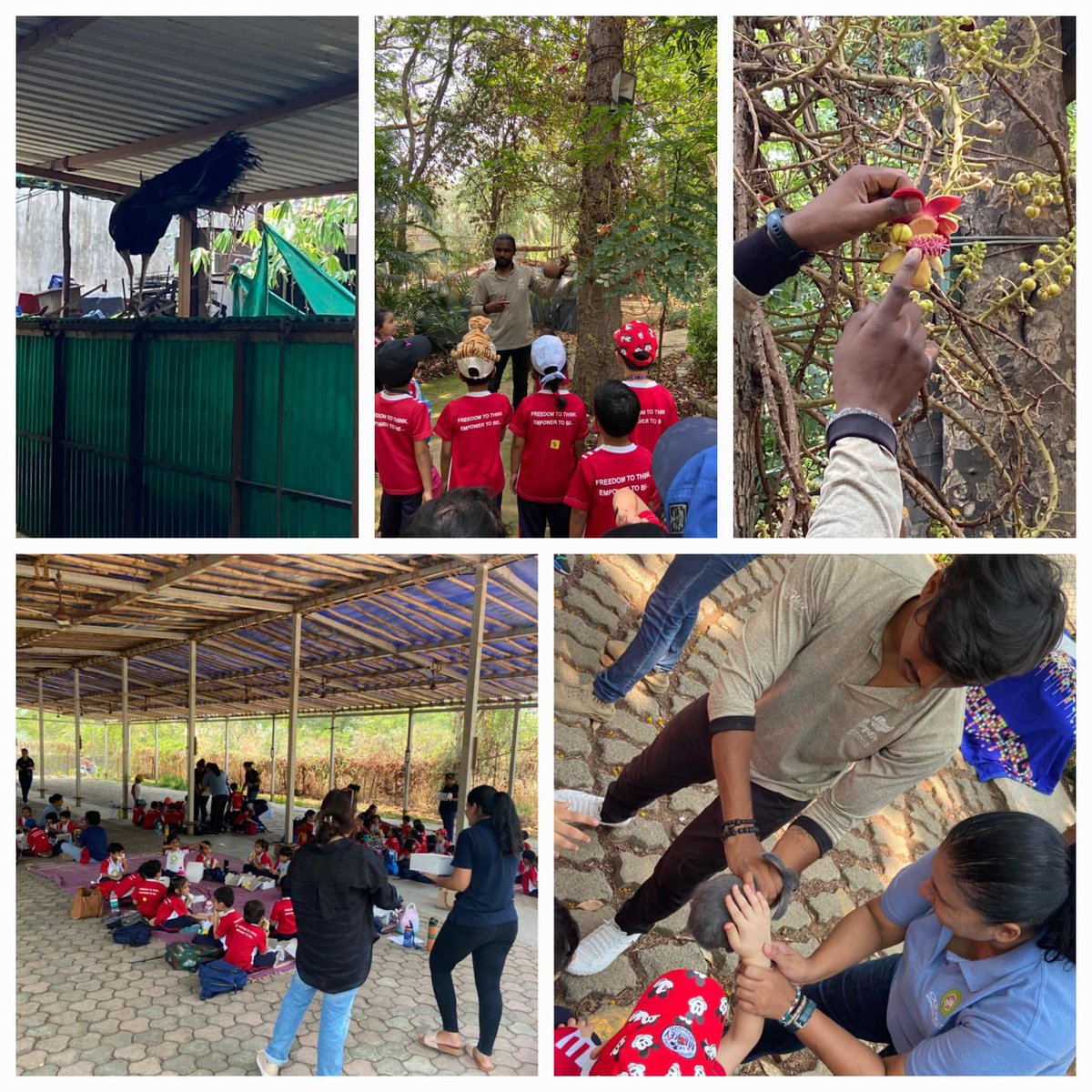 Jesal Umarania (@jesal_umarania) on Twitter photo Amazing experience as JKG ss inquire into living things during their field trip.Hands on experiences certainly helped ss dive deeper into the unit and understand the theme ‘Sharing the planet’<a href="/virani_sana/">Sana Virani</a> <a href="/nehaminda/">Neha Minda</a> <a href="/PYP_Teacher/">Aaron DeLane</a> <a href="/chchkiwiT/">Tony</a> <a href="/ois_primary/">OIS Primary</a> Amazing experience as JKG ss inquire into living things during their field trip.Hands on experiences certainly helped ss dive deeper into the unit and understand the theme ‘Sharing the planet’<a href="/virani_sana/">Sana Virani</a> <a href="/nehaminda/">Neha Minda</a> <a href="/PYP_Teacher/">Aaron DeLane</a> <a href="/chchkiwiT/">Tony</a> <a href="/ois_primary/">OIS Primary</a>