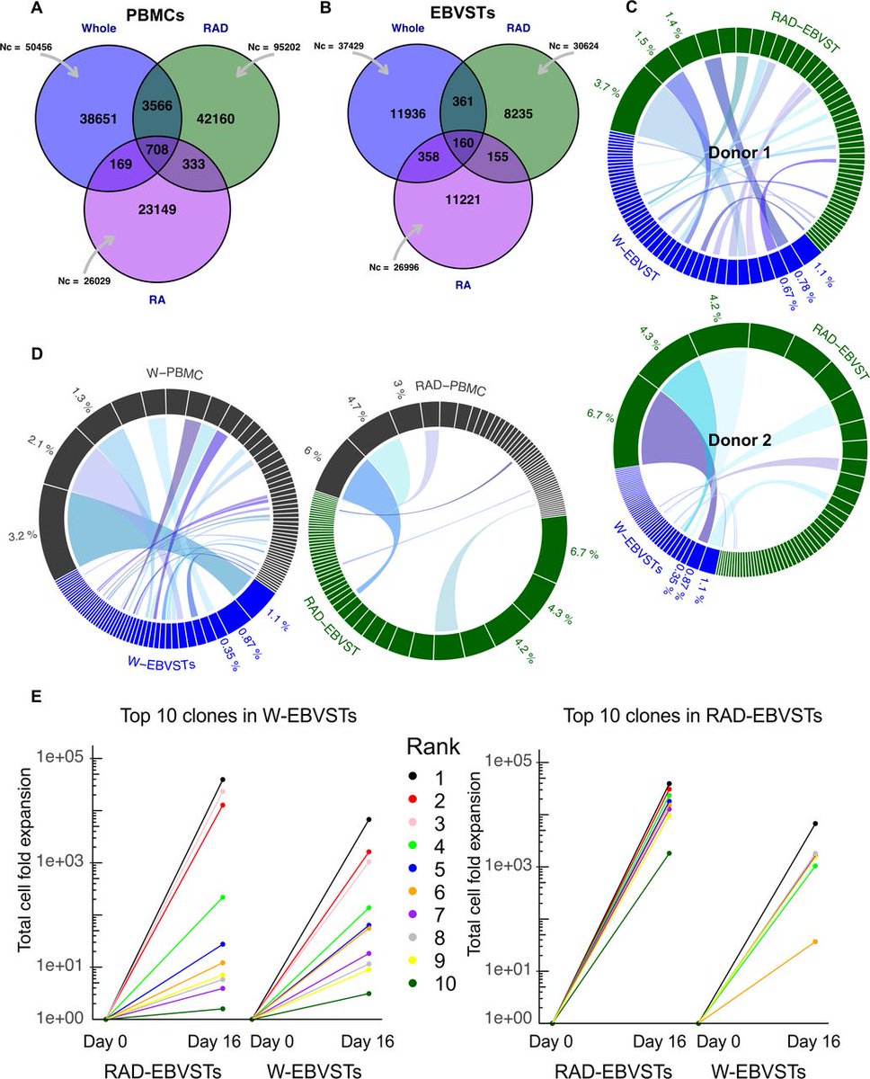 jitcancer's tweet photo. New #JITC article: Naive T cells inhibit the outgrowth of intractable antigen-activated memory T cells: implications for T-cell immunotherapy https://t.co/iL0xQroP7T @mesandhya1 #AACR23 https://t.co/fCDpHsWRQC