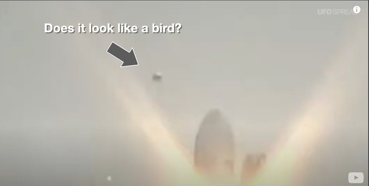 ufospreadd's tweet photo. UFOs and aliens are important and serious topics. And we have some evidence about aliens or UFOs associated with SpaceX in this video that you may not have seen before. 

https://t.co/yuwjTXih3R

#ufotwitter #ElonMusk https://t.co/cfCRwVUbzN