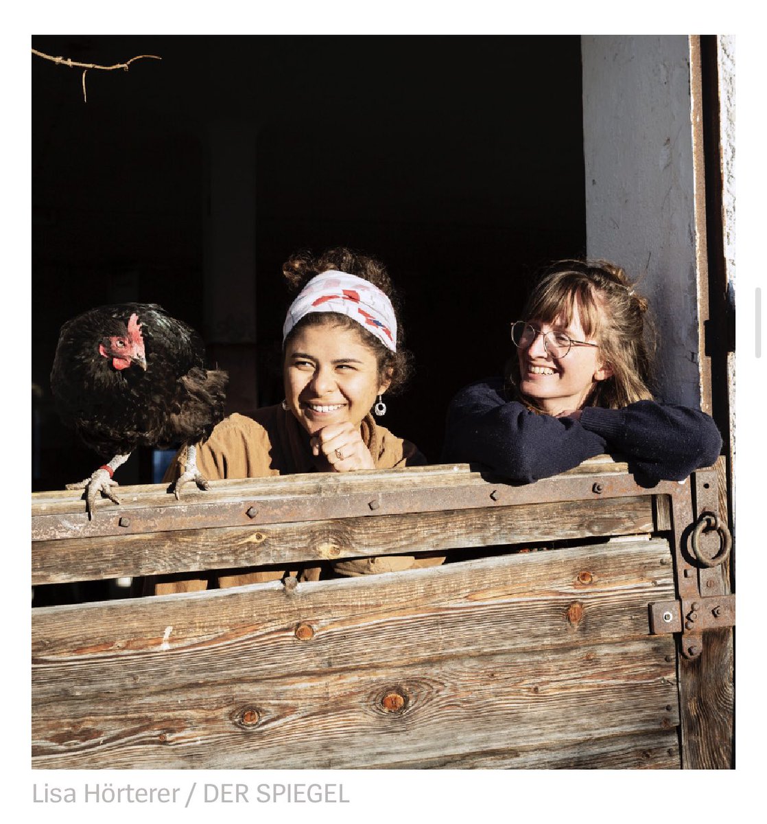 stefiminza's tweet photo. Sabrina und Verena leben mit Huhn Zoey und neun Mitbewohner:innen auf einem Hof im Münchner Umland. Für die aktuelle Ausgabe @spiegel_start habe ich sie dort besucht. 🐓 https://t.co/aJtIl8H1vt