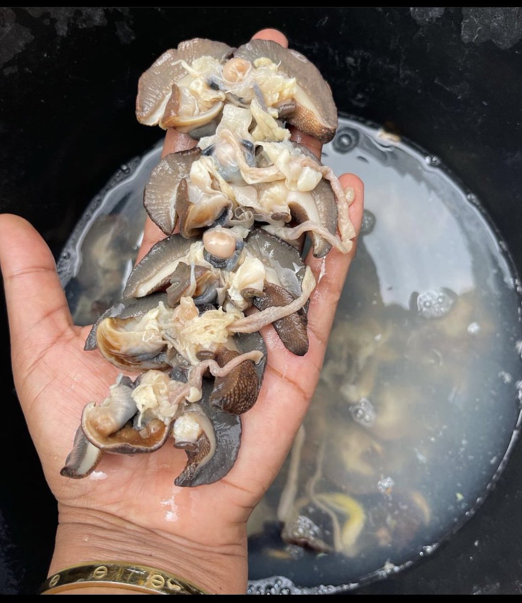 AsadoChow's tweet photo. Bringing the best deal in Abuja for all snail lovers, you want the perfect bite size for your soups or you just want spicy peppered snail with your favorite drink, we got you covered 
-
15pieces for 3000
100 pieces for 19500 https://t.co/gm9n9ENRnD