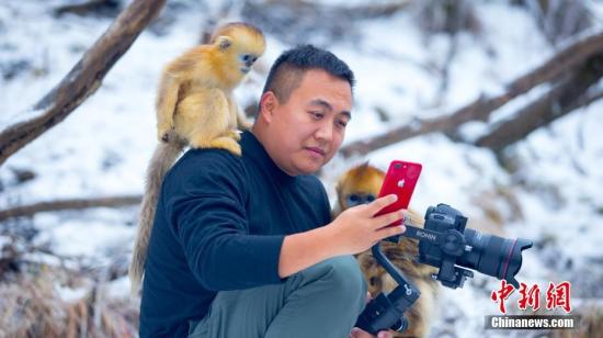 ChinaEmbSL's tweet photo. Press Release on the toque macaque monkeys issue:

The Embassy has noticed recent disinformation on local and foreign media about Sri Lanka to export “100 thousands” of “endangered” toque macaque monkeys to a Chinese private company for “experimental purpose”, as well as detailed clarifications by the Minister of Agriculture and the Cabinet Spokesperson of Sri Lanka thereafter.

The Embassy has also checked with relevant authorities in Beijing. The Chinese National Forestry and Grassland Administration, the main government department supervising and managing the import and export of wild animals and plants, clearly clarified that it is not aware of the request and has not received such application from any side. The Embassy would like to further stress that as a contracting party of Convention on International Trade in Endangered Species of Wild Fauna and Flora (CITES), China has already adopted its Wildlife Protection Law in 1988 with several amendments afterwards. The Chinese government always attaches great importance to wildlife protection and actively fulfill international obligations, which makes China one of top countries in the world in terms of wildlife protection legislation and law enforcement.