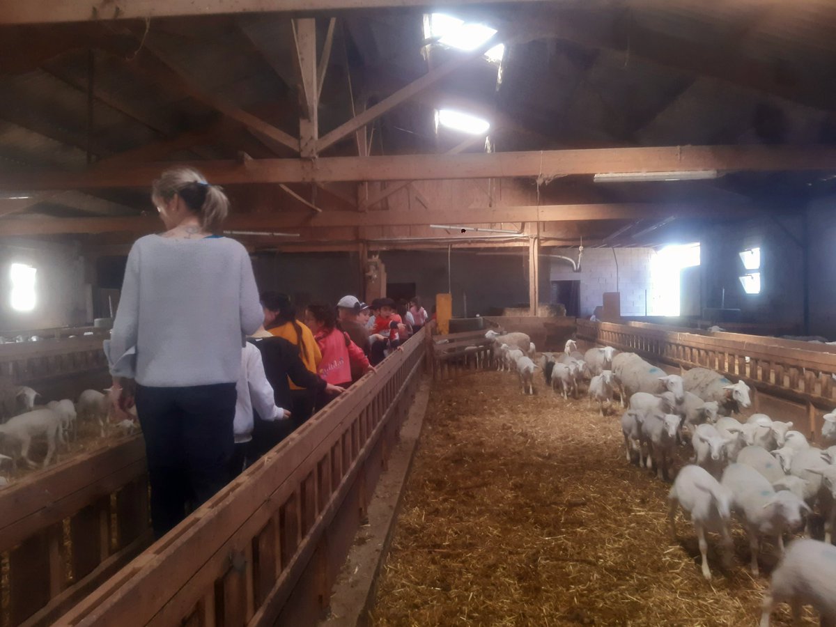 AudeGeiger's tweet photo. La promotion de l'agriculture doit commencer dès le plus jeune age et dans nos territoires. Hier c'était visite de la ferme avec les maternelles du village pour rappeler les fondamentaux : l'agriculture c'est d'abord ce qui nous permet de manger 3 fois par jour, mais pas que... https://t.co/MZhyYjguk6