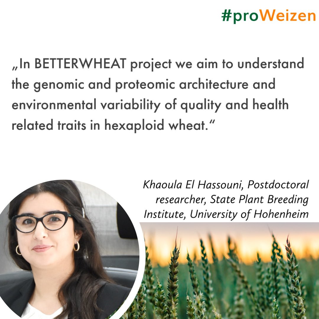 DialogBDP's tweet photo. At the #proweizen conference @K__ELHassouni now describes the scientific approach and results of the #Betterwheat project to understand how quality characteristics evolve under changing environmental conditions. More about the project 👉 https://t.co/2ExfO8bVFX @friedrichlongin https://t.co/yfELp6tLO3