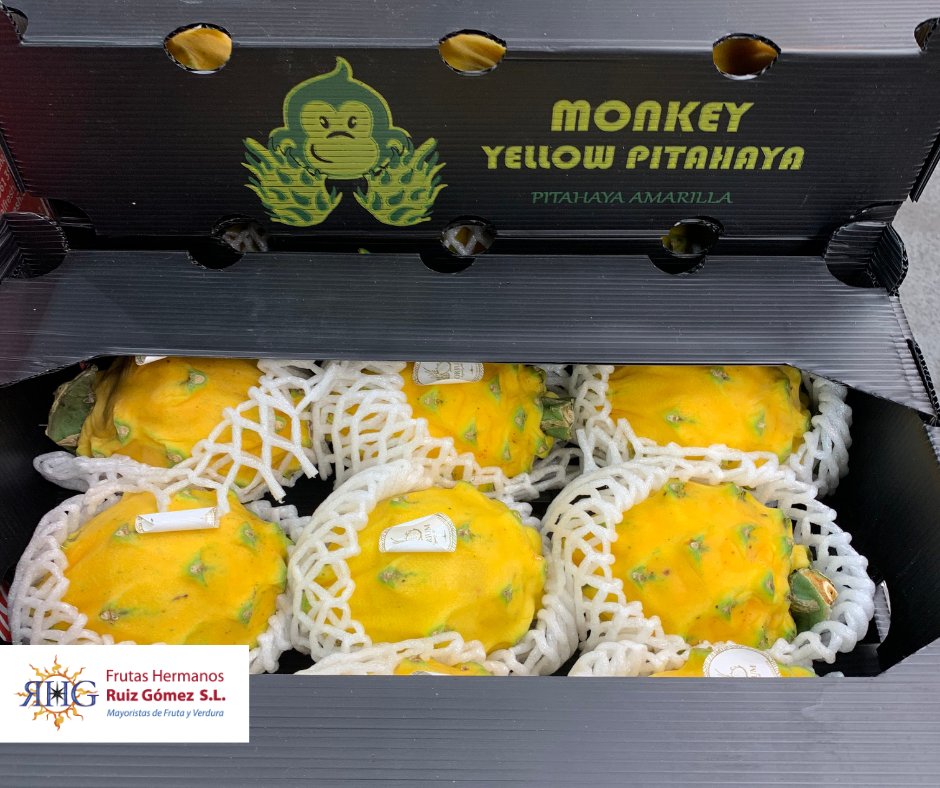 🧐Conoces la Pitahaya amarilla?
🐵Monkey Yellow Pitahaya para nosotros una de las mejores.
-
👌Pásate por nuestro puesto en Mercamadrid!!!
📍Nave F
✅ Puestos 38 - 40 - 42 - 44
☎️ T. 91 786 34 13
#herruizgome #comesano #somosloquecomemos #frutadetemporada #pitahayaamarilla