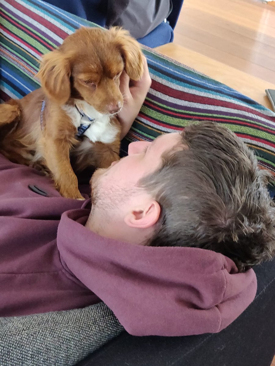 Nosevesey tweet media