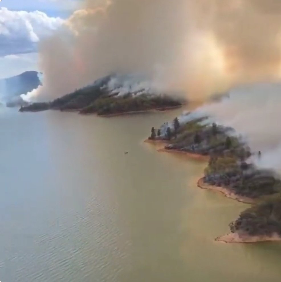 InForestMed's tweet photo. Espectacular video de extensa crema prescrita prevista para gestionar preventivamente 1.300 ha., bajo control de medios aéreos #ShastaLake #California #USA
#RXFire
Acciones de anticipación adaptativa a gran escala de "fuego bueno"
@CALFIRE_PIO
@forestservice
Vía @VirginiaCarrace https://t.co/r9TJjhG7AR