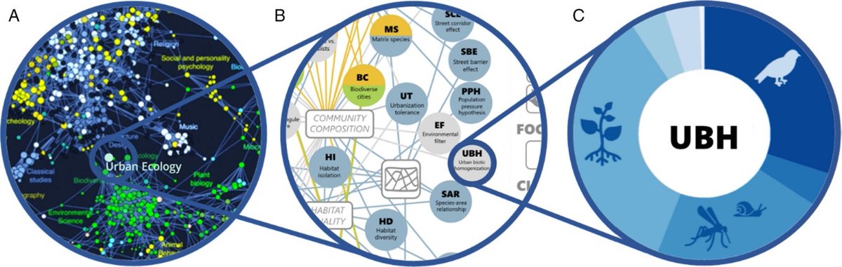 Ecological Dynamics (@ecodynizw) on Twitter photo 📢 #KnowledgeMap of ecological hypotheses in #UrbanEcology led by @LokatisSophie JJeschke <a href="/Heger_Tina/">Tina Heger @tinaheger@ecoevo.social</a> ▶️ <a href="/BMBF_Bund/">BMBF</a>-funded work <a href="/BBIB_Berlin/">Biodiversity Berlin</a> ⬇️doi.org/10.1111/brv.12… 📢 #KnowledgeMap of ecological hypotheses in #UrbanEcology led by @LokatisSophie JJeschke <a href="/Heger_Tina/">Tina Heger @tinaheger@ecoevo.social</a> ▶️ <a href="/BMBF_Bund/">BMBF</a>-funded work <a href="/BBIB_Berlin/">Biodiversity Berlin</a> ⬇️doi.org/10.1111/brv.12…
