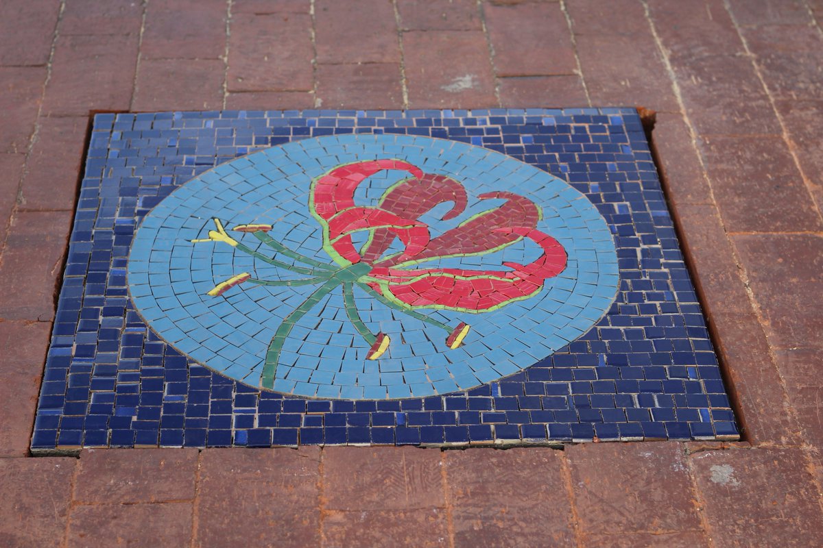 gtp_the's tweet photo. We're excited to finally unveil the new street mosaic tiles that were installed in Bellville as part of phase 1 of this project. 13 mosaic Tiles were installed in this first of three phases.

#mosaic #streetart #artwork #myGTP #bellville #arts #flowers #creative #creativity https://t.co/bKGpzXPjOe