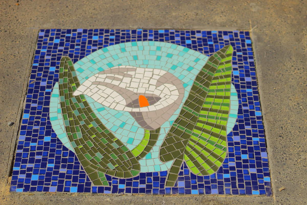 gtp_the's tweet photo. We're excited to finally unveil the new street mosaic tiles that were installed in Bellville as part of phase 1 of this project. 13 mosaic Tiles were installed in this first of three phases.

#mosaic #streetart #artwork #myGTP #bellville #arts #flowers #creative #creativity https://t.co/bKGpzXPjOe