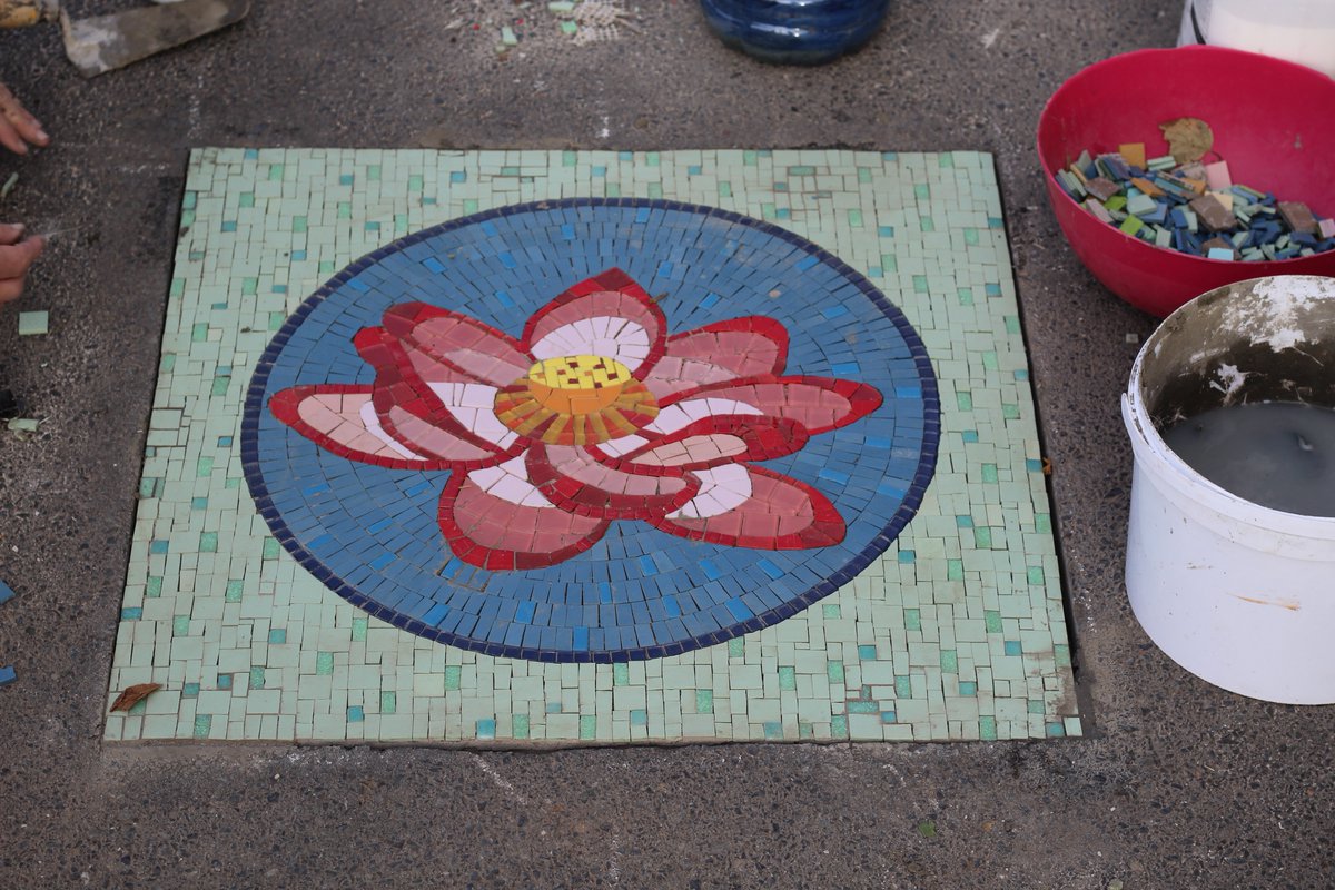 gtp_the's tweet photo. We're excited to finally unveil the new street mosaic tiles that were installed in Bellville as part of phase 1 of this project. 13 mosaic Tiles were installed in this first of three phases.

#mosaic #streetart #artwork #myGTP #bellville #arts #flowers #creative #creativity https://t.co/bKGpzXPjOe