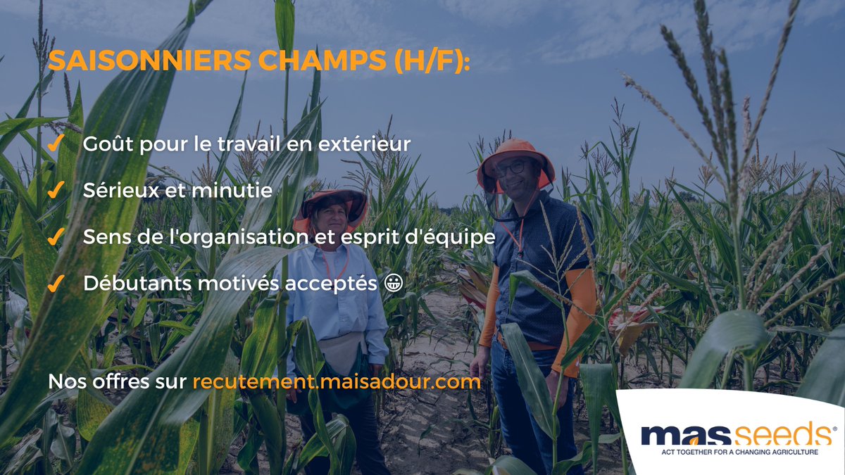 MASseedsfrance's tweet photo. Vous recherchez un job pour l'été ? MAS Seeds recrute des #Saisonniers Champs H/F !
Vous participez aux travaux de manutention et floraison.
🕑Période de travail : de juillet à mi août
Lieu: Haut Mauco (40)
Pour #postuler👉 https://t.co/gHtVuv66JD
#MasSeeds #Recrutement https://t.co/vxd1qmu4QY