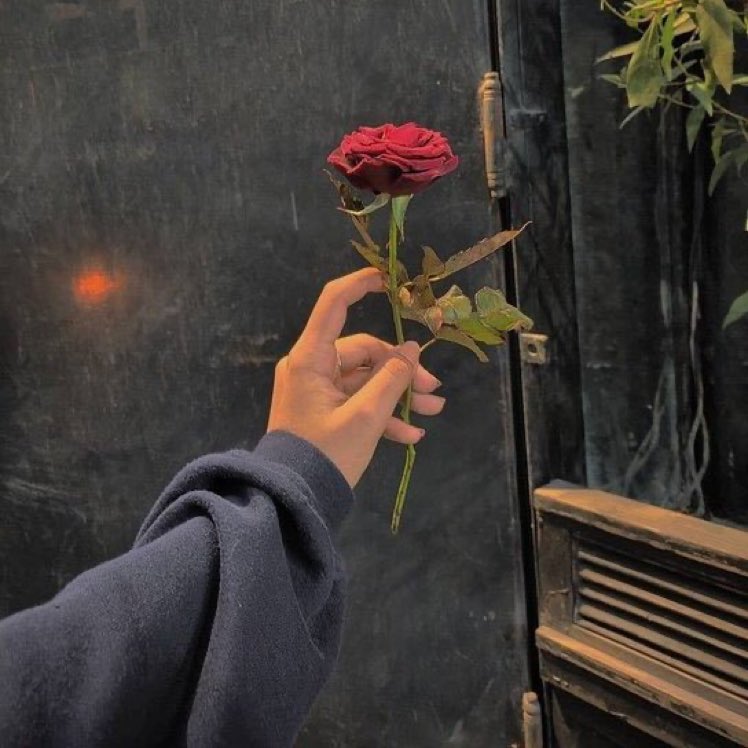 ''Kalbimi açtığım kişiden saygı görmek isterim.''

Dostoyevski