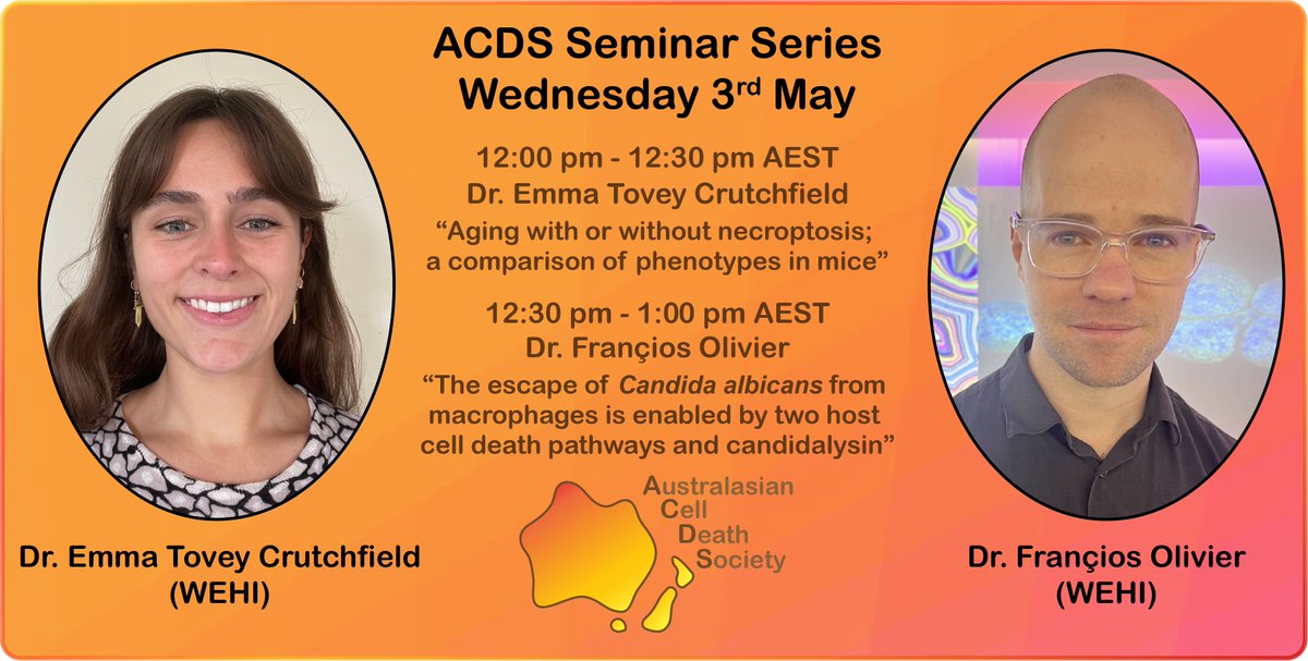 Australasian Cell Death Society (@auscelldeathsoc) on Twitter photo We are pleased to announce our upcoming May #ACDS Seminar will feature Dr Emma Tovey Crutchfield and Dr Françios Olivier! 🤩
Join us on Wed 3rd May from 12-1pm AEST (via Zoom) to explore necroptosis in #ageing, & #celldeath in macrophages during fungal infection 🤯<a href="/WEHI_research/">WEHI (Walter and Eliza Hall Institute)</a> We are pleased to announce our upcoming May #ACDS Seminar will feature Dr Emma Tovey Crutchfield and Dr Françios Olivier! 🤩
Join us on Wed 3rd May from 12-1pm AEST (via Zoom) to explore necroptosis in #ageing, & #celldeath in macrophages during fungal infection 🤯<a href="/WEHI_research/">WEHI (Walter and Eliza Hall Institute)</a>