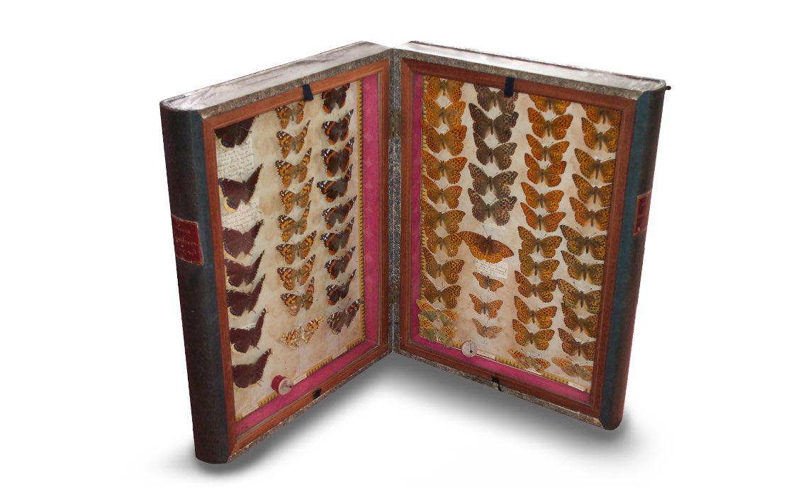 A 🧵 devoted to my fav. exhibit from the #FindingMiddlemarch🔎 exhibition I curated <a href="/ExploringEliot/">Exploring Eliot</a> 

The Bree family butterfly collection, 🦋 masterfully disguised as leather-bound volumes 📖 📚 of British Entomology (1833-42). 🪲 🐛

exploringeliot.org/FM/6