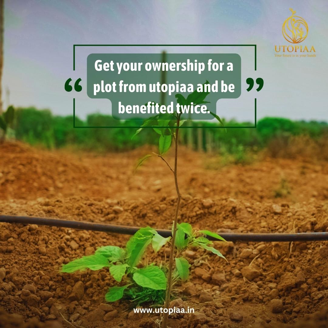 'Ready to harvest the rewards of ownership? 🌱 Invest in a plot from Utopiaa and reap the benefits twice! 🌟 #ManagedFarmLand #Bangalore #InvestmentOpportunity #UtopiaPlots #HarvestRewards #investinfarming #UTOPIAA #realestategoals #bangalore #bangalorefarming #bangalorefarm '