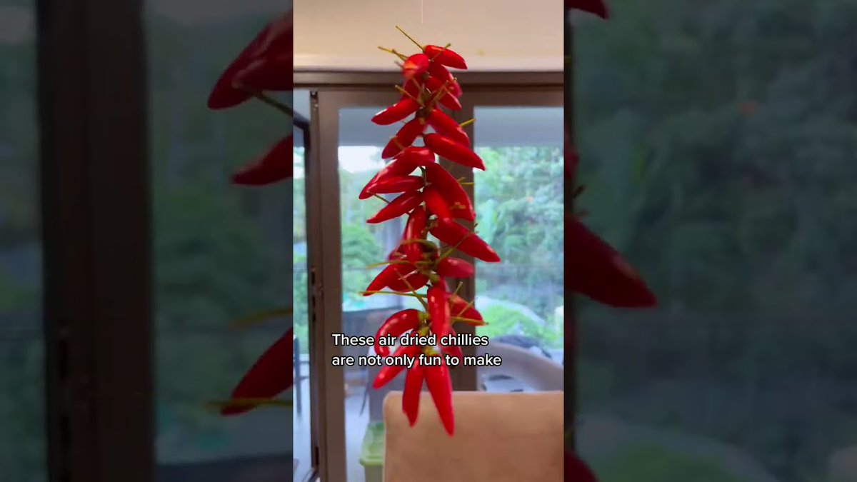 How to Airdry Chillies For Future ...
 
#balconygardening #foodsecurity #perennialcrops #pollinatorgardens
 
allforgardening.com/446680/how-to-…