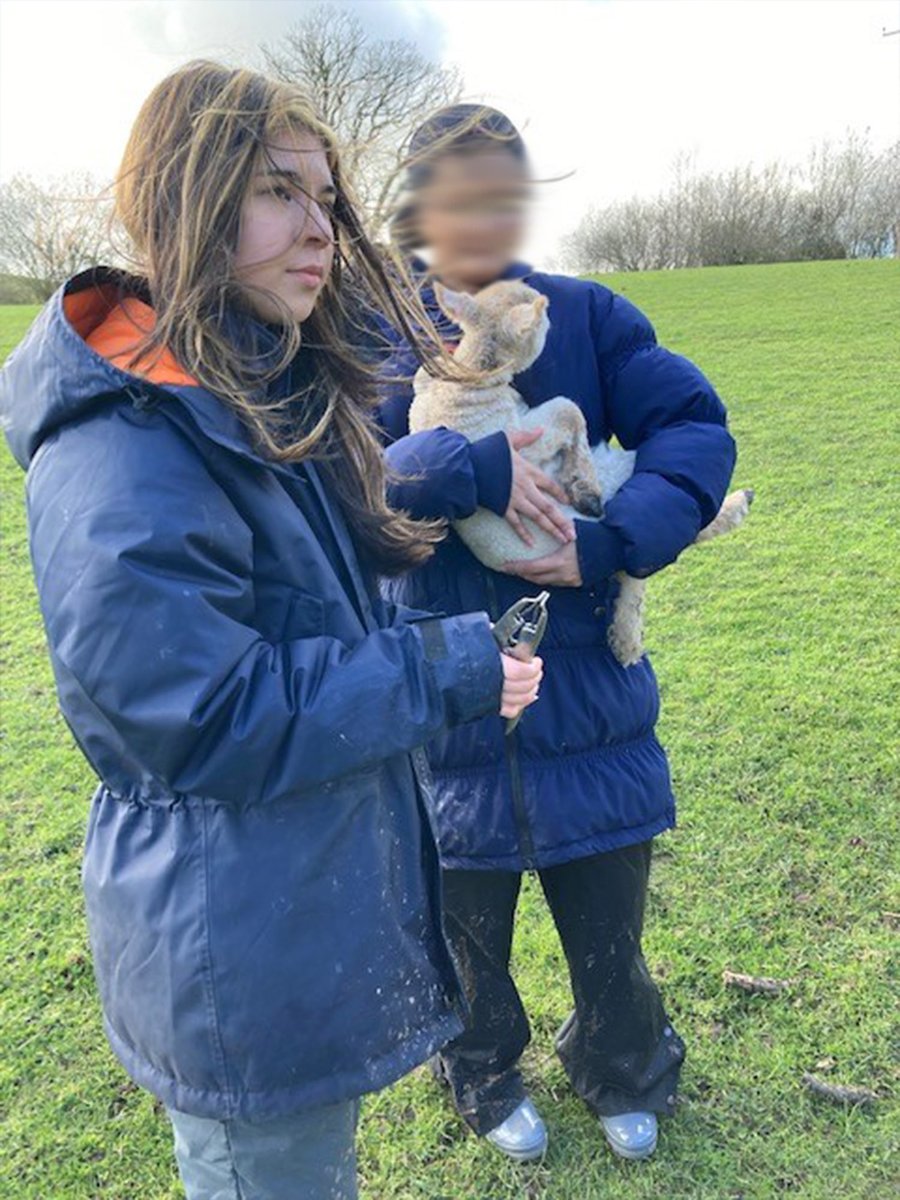 HamsteadHallAcademy tweet media