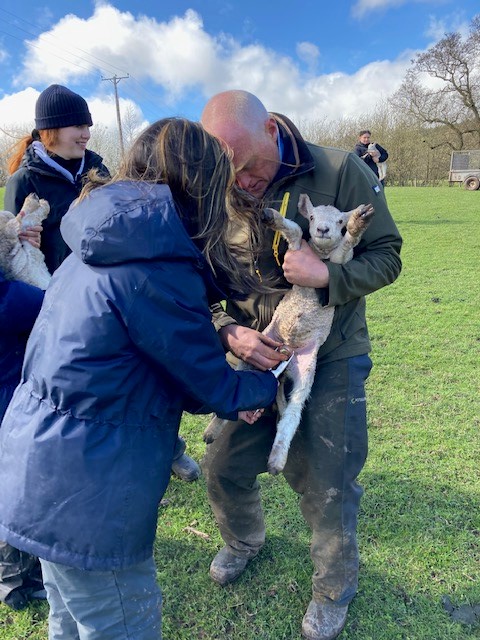 HamsteadHallAcademy tweet media