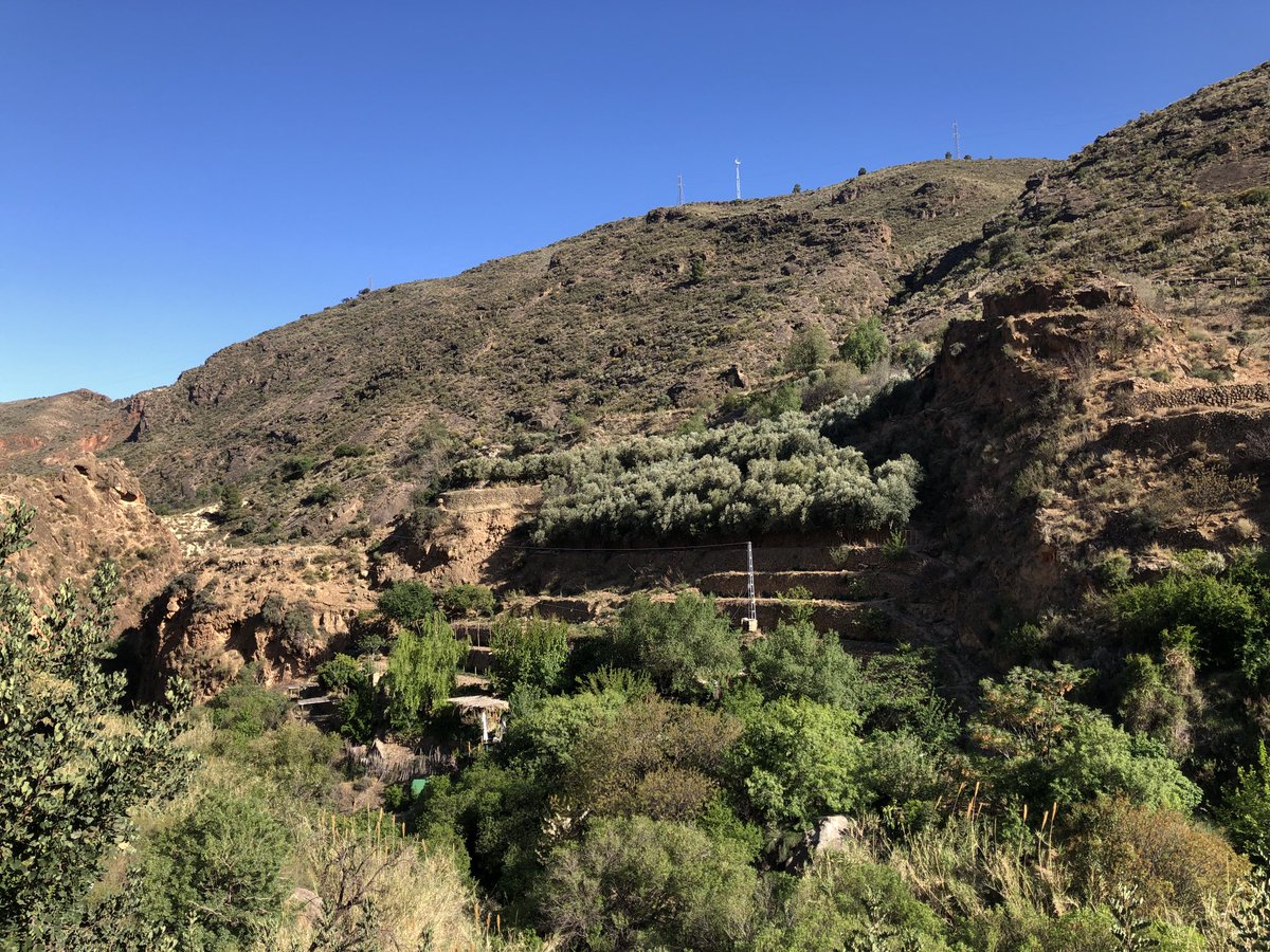 BettyBeaufor's tweet photo. #photography #spain #espana #andalucia #nature #Padules #mypics https://t.co/S4puOgVh36
