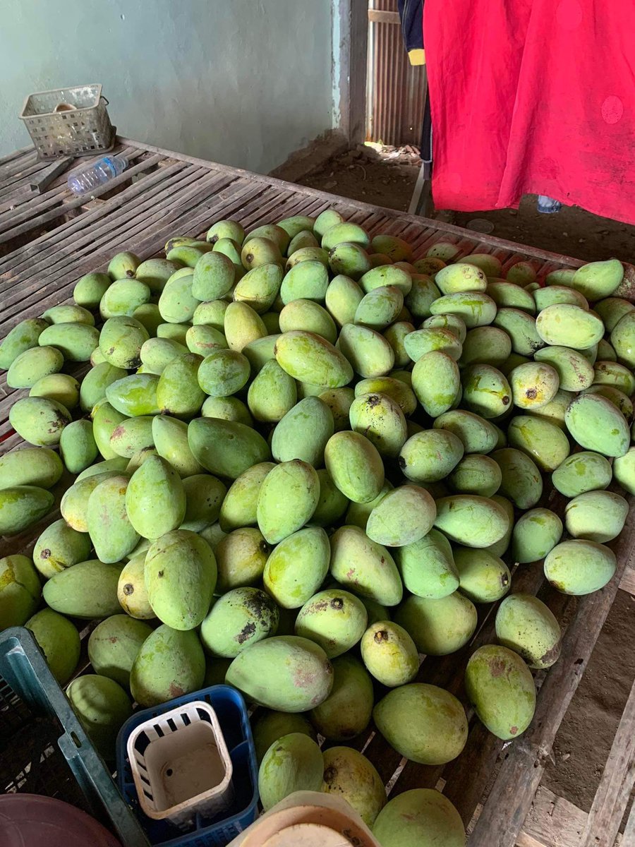 Ly68694497's tweet photo. ទឹកឃ្មុំ ស្វាយកែវចិនចេះតែលក់ទៅ ជួយ១លិត្រ២លីត្រម្នាក់ទៅបង មកពីចូលឆ្នាំដាច់លុយហើយ https://t.co/5bCM7deMey