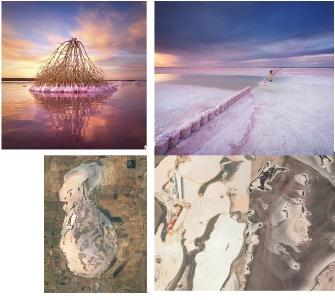 ana_ouriques's tweet photo. The 120,000-year-old Lake Tyrrell in VIC Australia.
Over 100,000 tonnes of salt are extracted from the lake each year via commercial salt works at the lake’s northern end. While you can’t visit this area, you can purchase the pink lake salt from various shops in Sea Lake. https://t.co/AbhnJ55JZ4