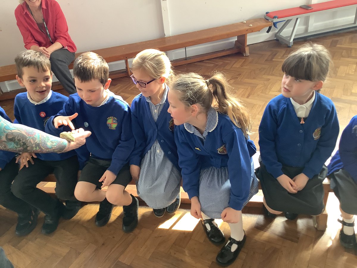 Grimoldby_Y4's tweet photo. @MeetTheBeasts What a perfect way to kickstart our new project. #Pawsclawswhiskers #creativity @grimoldbyschool https://t.co/iVXPdgq18n