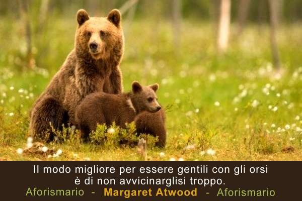 Il modo migliore per essere gentili con gli orsi è di non avvicinarglisi troppo. (Margaret Atwood) aforismario.eu/2020/04/frasi-…