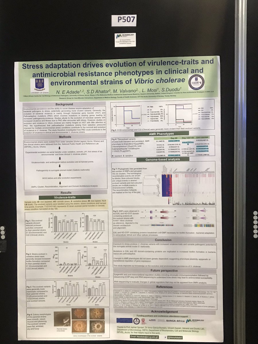 Nana Eghele Adade🇬🇭🇳🇬 🇬🇧 (@nanaadade3) on Twitter photo Day 3 of the ongoing annual <a href="/MicrobioSoc/">Microbiology Society</a> conference in Birmingham. Interested in stress adaptation in Vibrio cholerae? Come have a chat with me. Poster #507. Thanks <a href="/WACCBIP_UG/">WACCBIP</a> and <a href="/MicrobioSoc/">Microbiology Society</a> for this opportunity. Day 3 of the ongoing annual <a href="/MicrobioSoc/">Microbiology Society</a> conference in Birmingham. Interested in stress adaptation in Vibrio cholerae? Come have a chat with me. Poster #507. Thanks <a href="/WACCBIP_UG/">WACCBIP</a> and <a href="/MicrobioSoc/">Microbiology Society</a> for this opportunity.