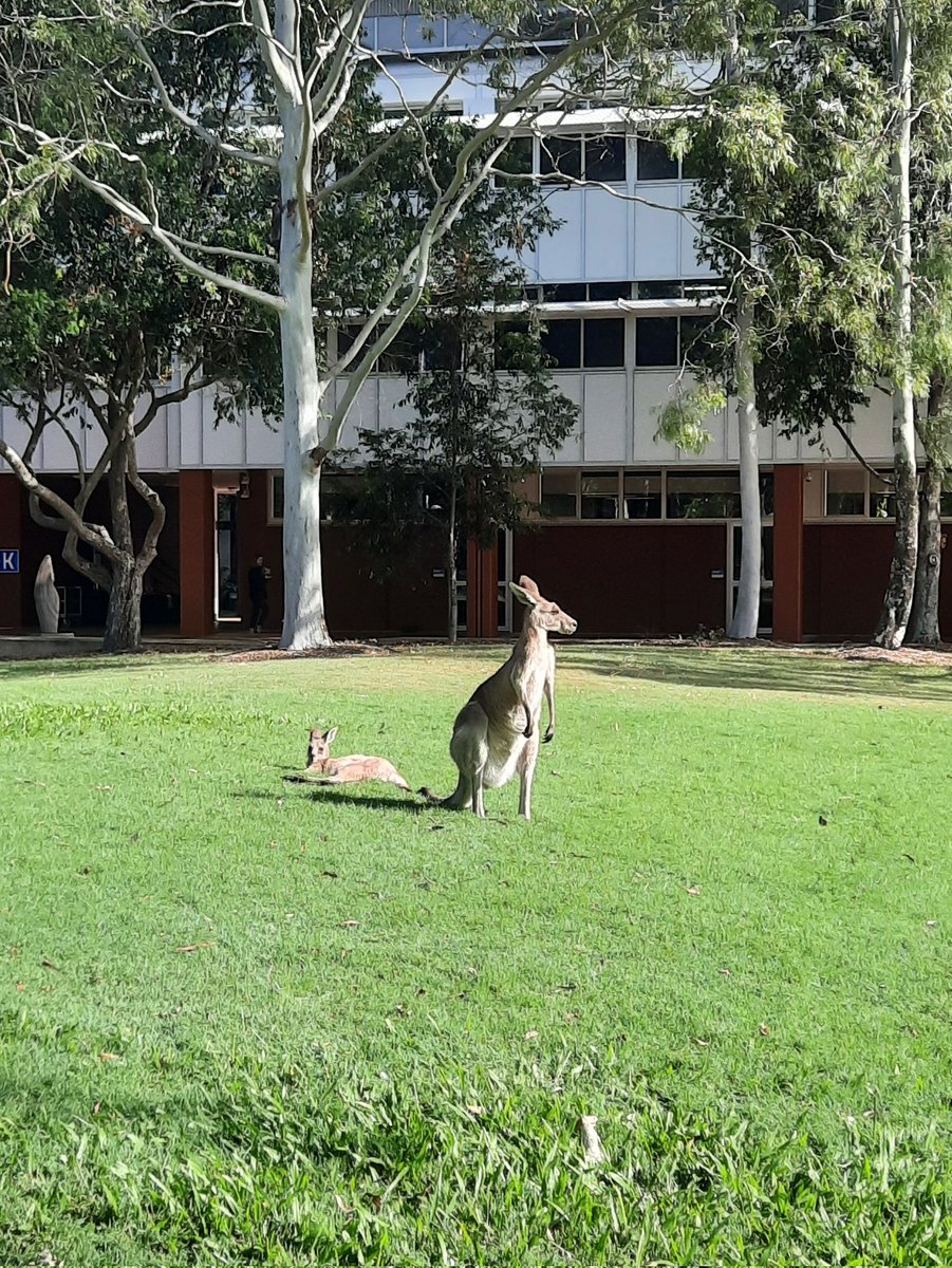 Emily Moir tweet media