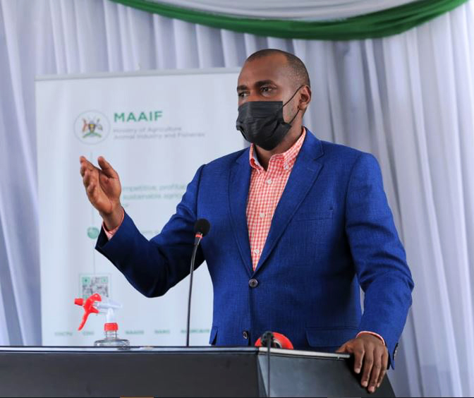 MAAIF_Uganda's tweet photo. Hon. Frank Tumwebaze, the Minister for Agriculture, Animal Industry and Fisheries (@FrankTumwebazek ) who is Chairman of the ASARECA Council of Patron Ministers welcomes participants to this year's ASARECA Agriculture Ministerial Conference.

#AAMC link: https://t.co/7UNlnXDUp4 https://t.co/wP5d1uIZrs