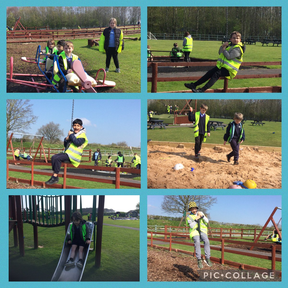 Kingfishers - Miss Johnston tweet media