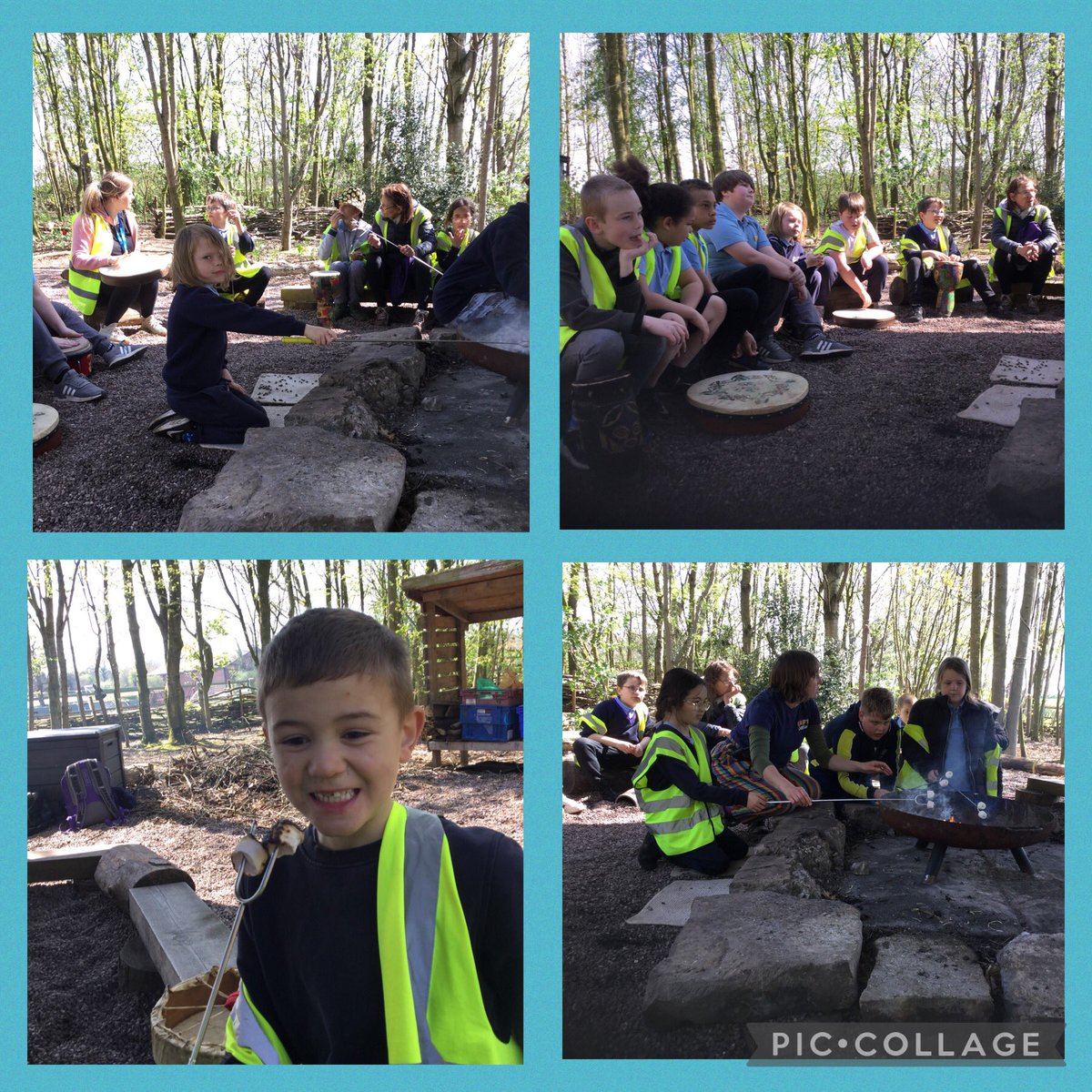 Kingfishers - Miss Johnston tweet media