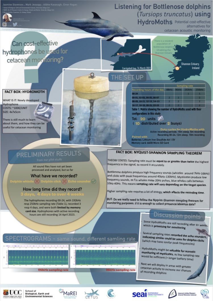 Today I’m presenting some preliminary results from my 1st PhD fieldwork, a pilot study to try HydroMoths (cheap and tiny #hydrophones ) for cetacean acoustic monitoring. I’ve got one with me as well! <a href="/EuroCetSoc/">European Cetacean Society</a> #ECS2023 Poster no 59 🐬 <a href="/GannetGuy/">Mark Jessopp</a> <a href="/ailbhesk/">Ailbhe Kavanagh</a> <a href="/rogan_e/">Emer Rogan</a>