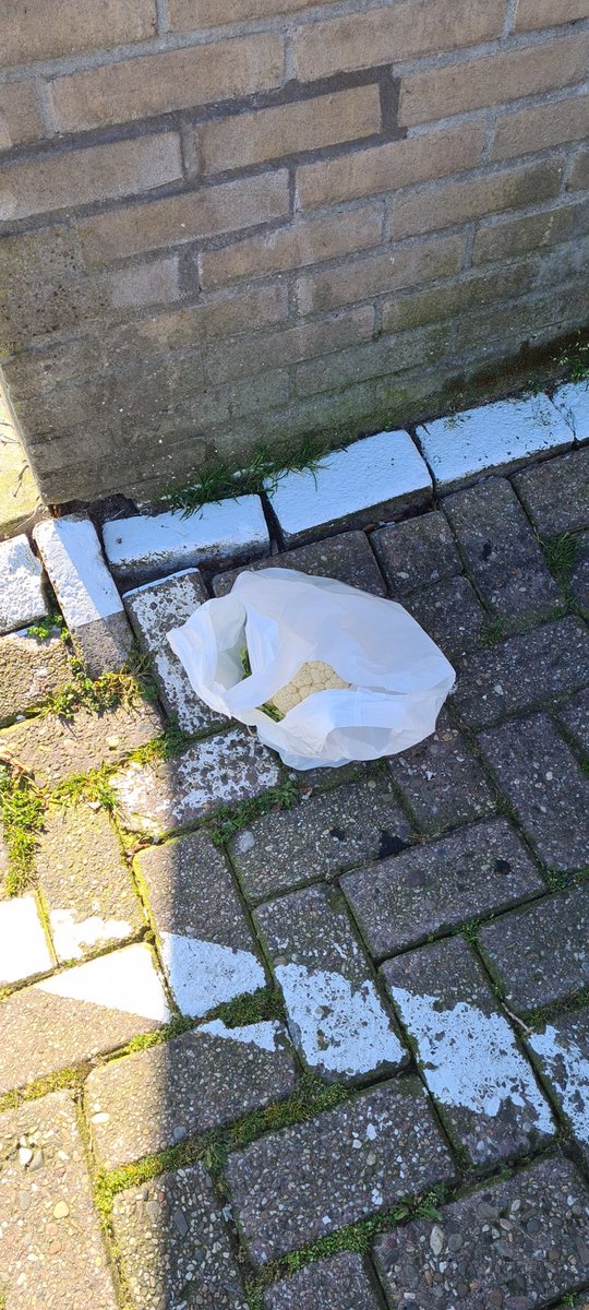 Politie Volendam e.o tweet media