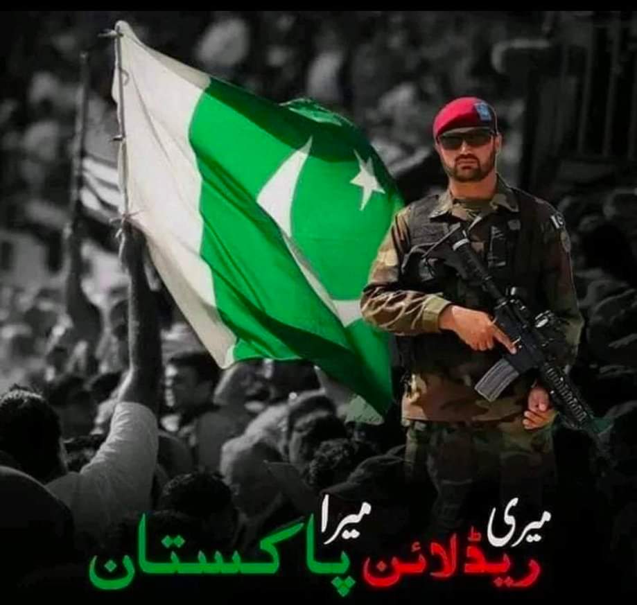 اپنی فوج کا ہتھیار بنیں، کسی سیاسی جماعت کا رومال نہیں #pakarmyourpride