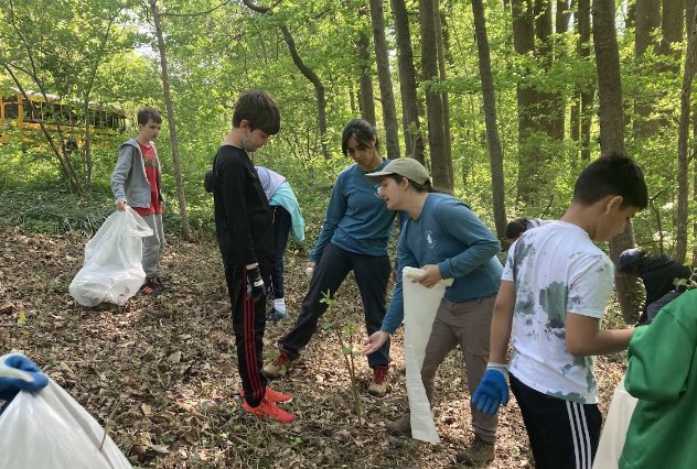 AmyTAD's tweet image. McLean School 6th grade Mustangs learned about invasive plants and help eradicate them on our service learning trip to Rock Creek Park. Thanks to #RockCreekConservancy   #McLeanSchool