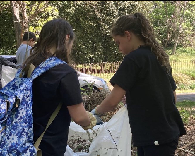 AmyTAD's tweet image. McLean School 6th grade Mustangs learned about invasive plants and help eradicate them on our service learning trip to Rock Creek Park. Thanks to #RockCreekConservancy   #McLeanSchool