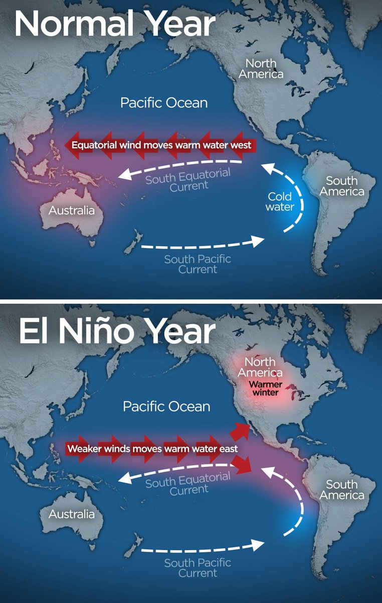 TheOikologist's tweet image. 2/5: El Niño events occur when warm ocean water builds up in the central and eastern Pacific, leading to changes in global weather patterns such as altered precipitation, heatwaves, and increased tropical cyclone activity. #climatepatterns #globalweather #climatechange