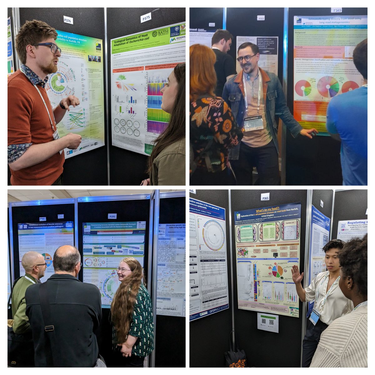 I'm thoroughly enjoying #microbio23 and have loved seeing the enthusiasm and passion for their science brought by Cailean, @MetaRudder @NisbetAlice and @goodolgab 🧬 Your face will be up here next year @EH_Hayles 😉 @MicrobioSoc @TheQuadram