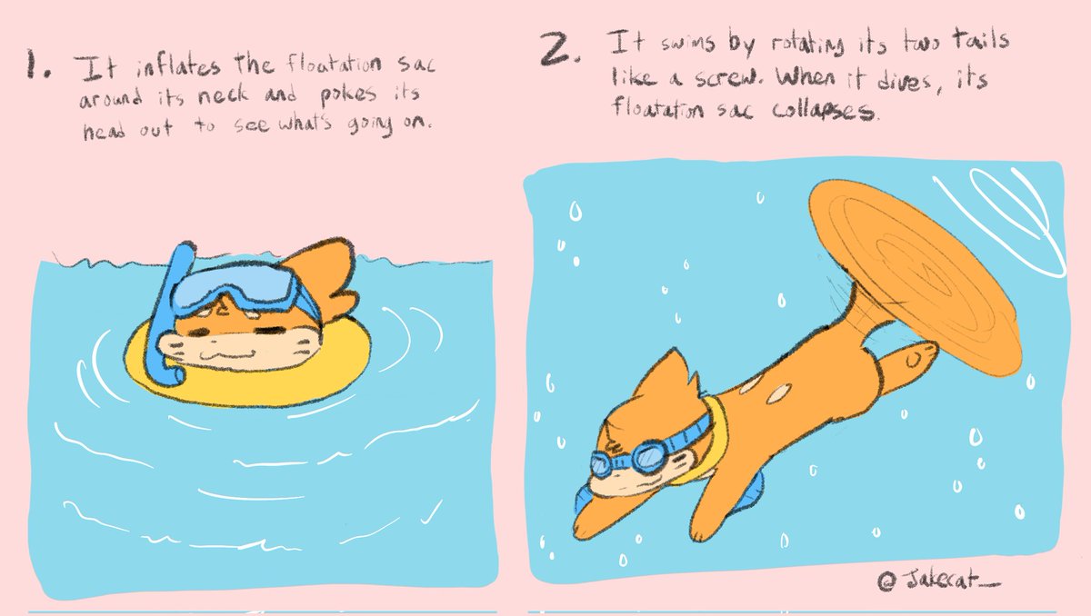 Jakecat tweet media